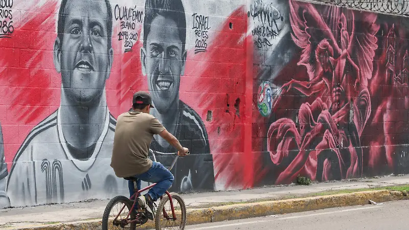 Apoyo a la Seleccion Mexicana-1.